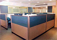 hbl8